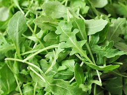 [Roquettedime] Roquette