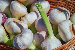 [Ailfraisgrossiste] Ail frais
