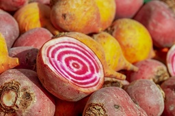 [Betteravechioggiadime] Betterave Chioggia