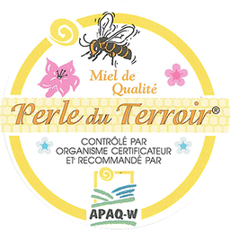 [Miel500ggrossiste] Miel de printemps - 500g