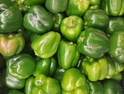[Poivronvertdime] Poivron vert