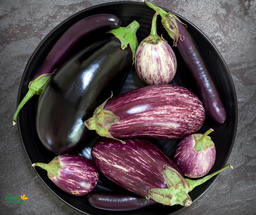 [Auberginemélangedime] Aubergine en mélange