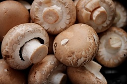 [Champignongrossiste] Champignon châtaigne