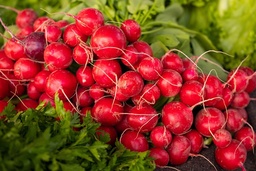 [Radisrougedime] Radis rouge
