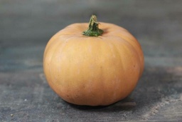 [Courgecaratdime] Courge Carat