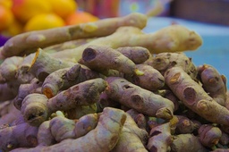 [Curcumagrossiste] Curcuma