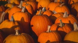 [Courgejackolanterndime] Potiron Jack'O Lantern