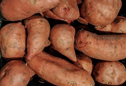 [Patatedoucegrossiste] Patate douce