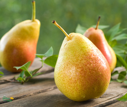 [Poiretqteerossiste] Poire Qtee